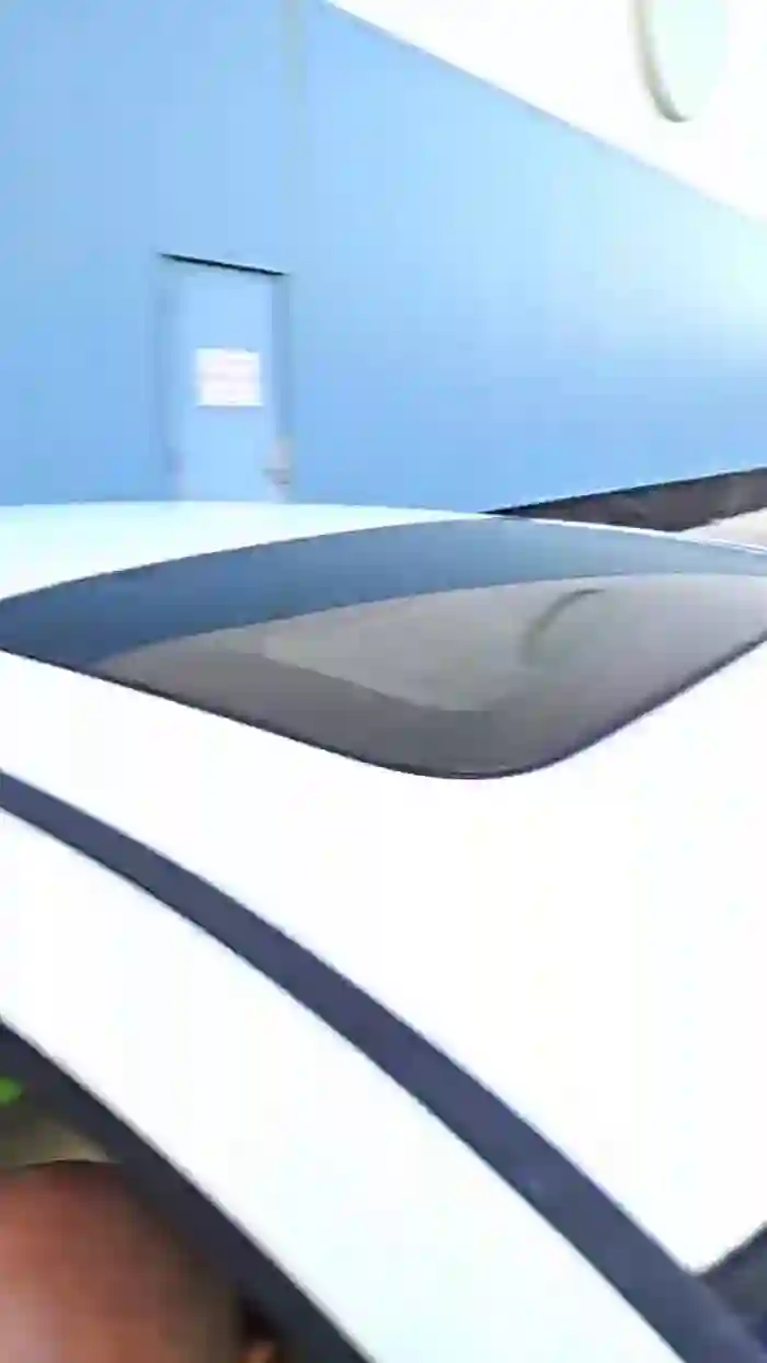 ditboi6