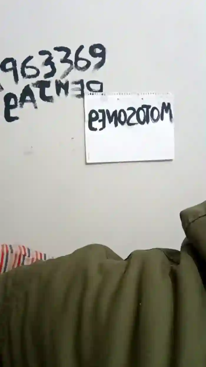 Oneballx