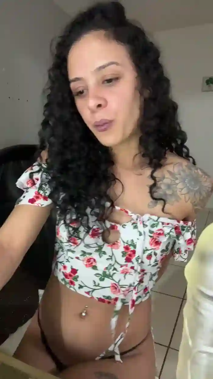 Gatinha2025