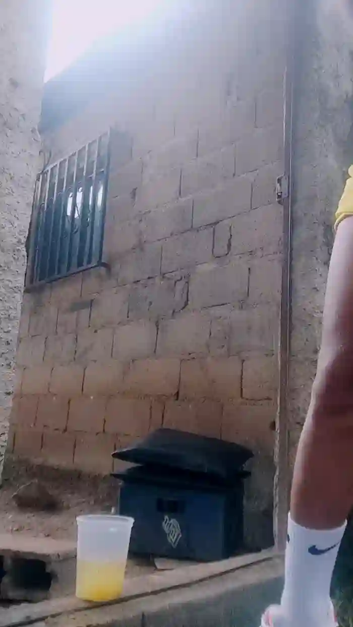 Papiyoungpig