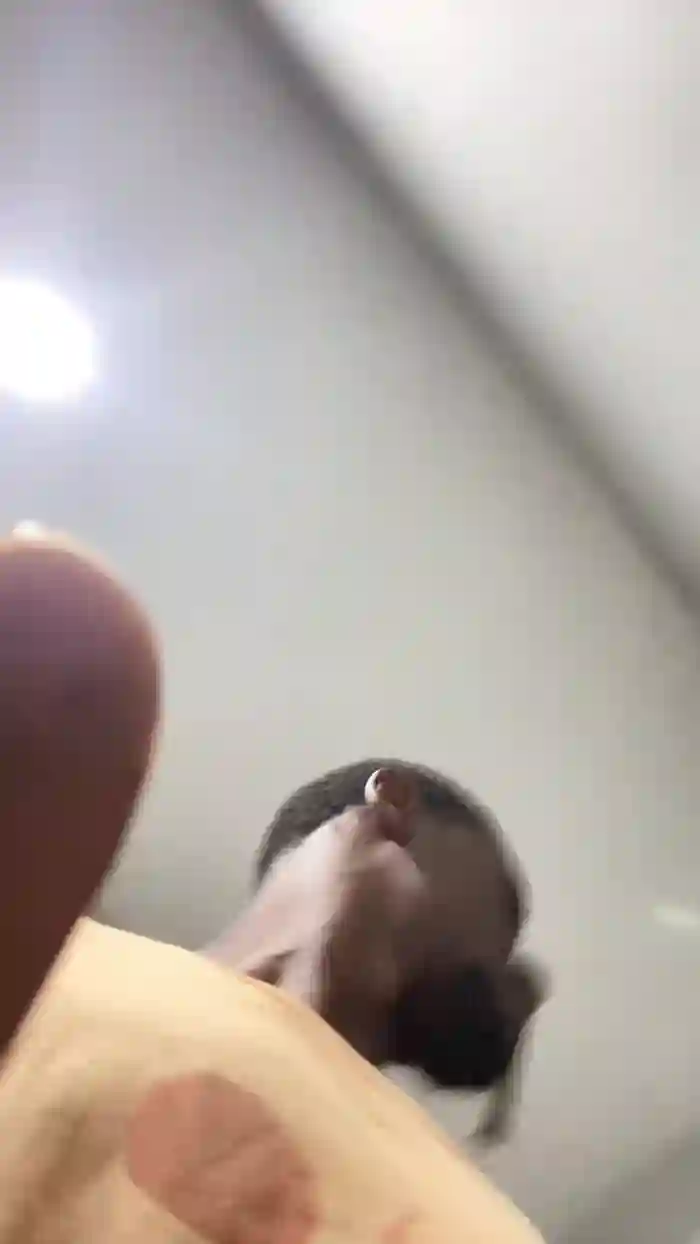 itsup4