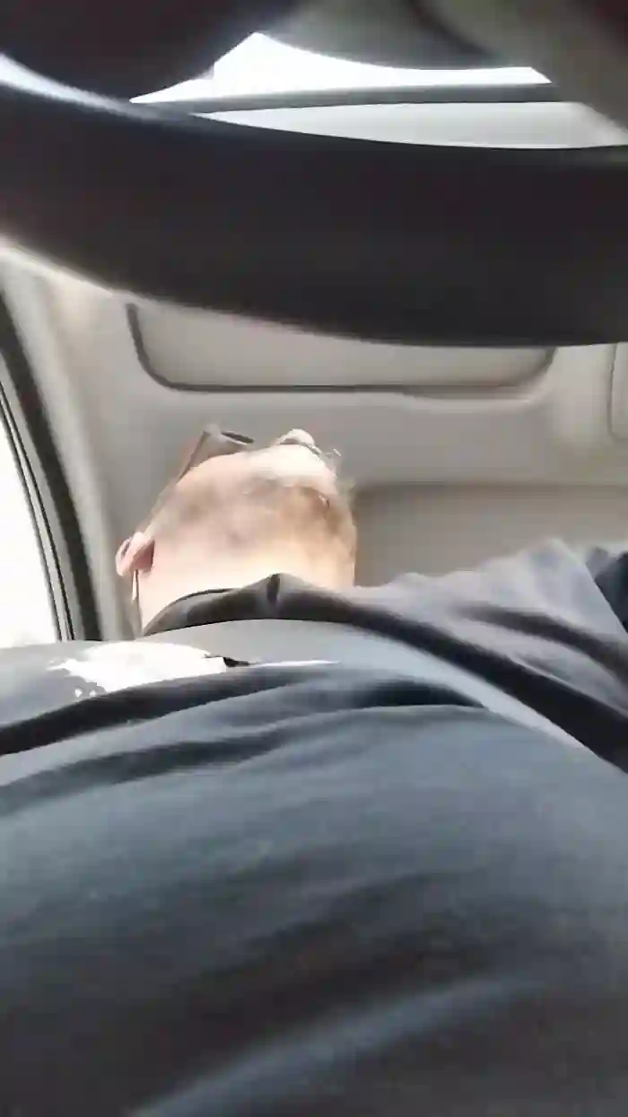 jhonnybravo19