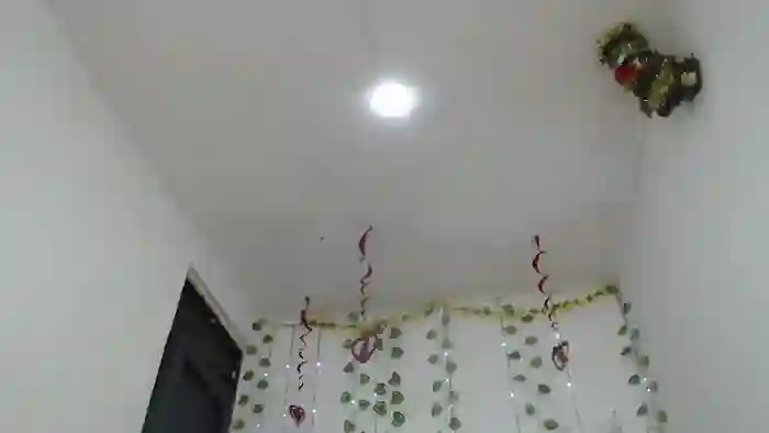 Japonesa_hott