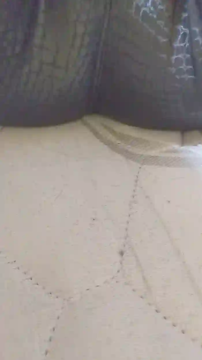 Pussyexotic5