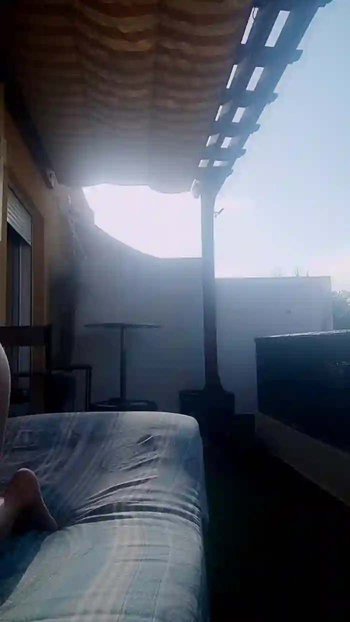 stefycamy