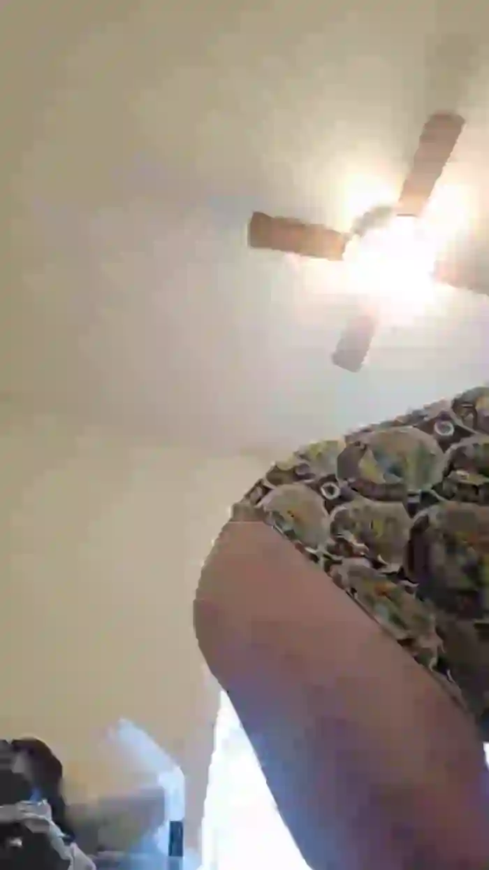 Beardedveteran