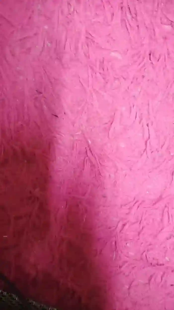 Meupaubranco