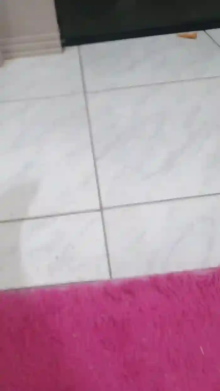 Meupaubranco