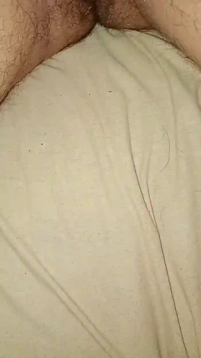 Gaucinhasafada