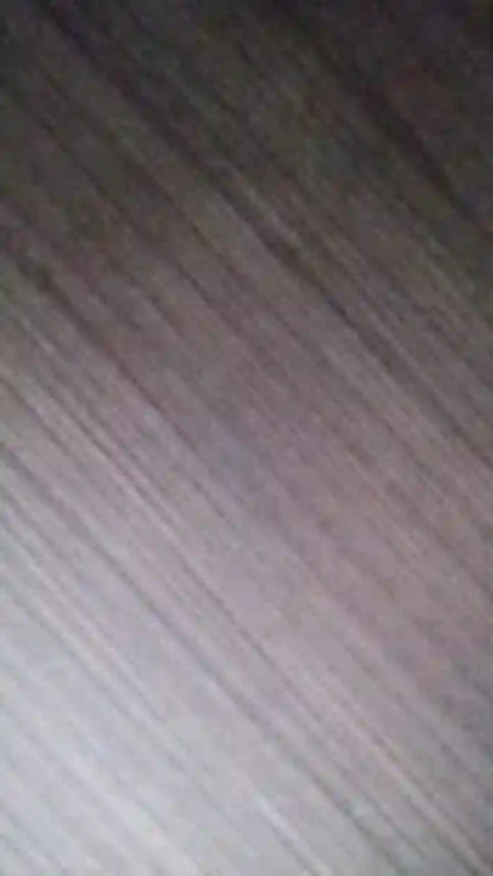 Latinaakita4