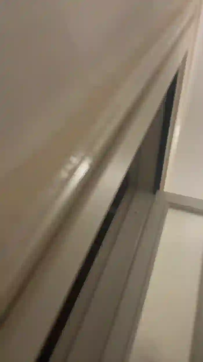 Uccellodauomo