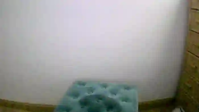 Demi_1