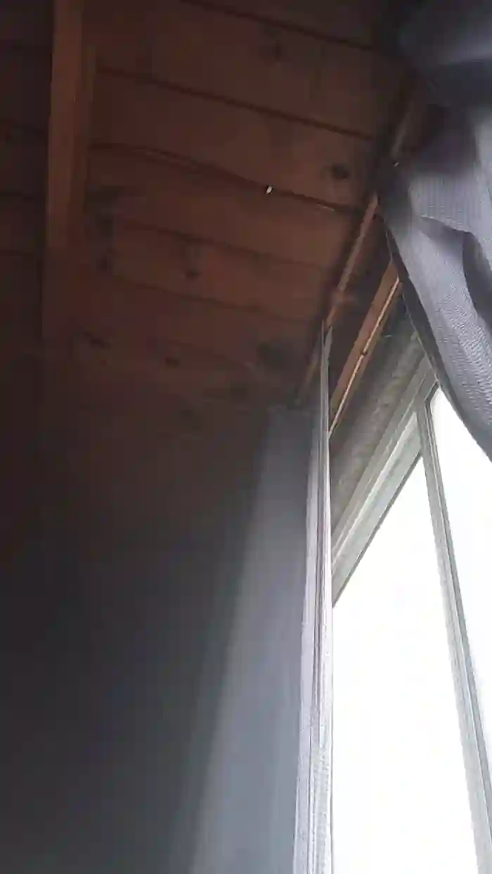 luli70hot