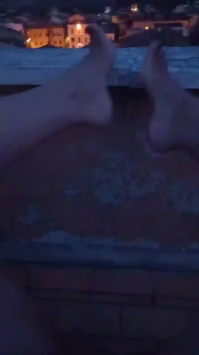 Bambola_85