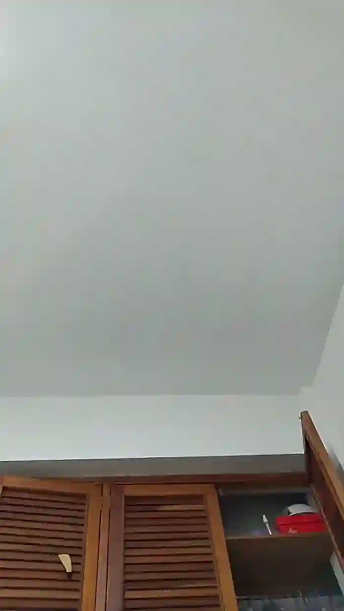 Bluvie444