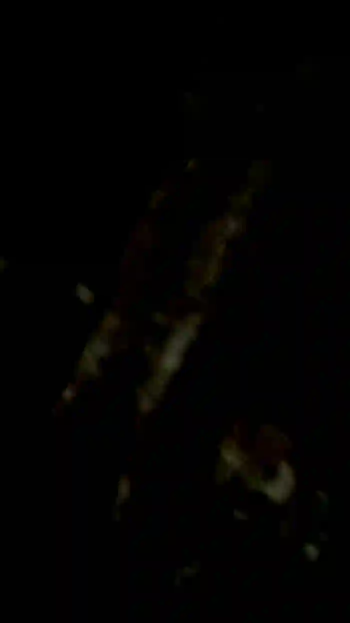 Charlott31