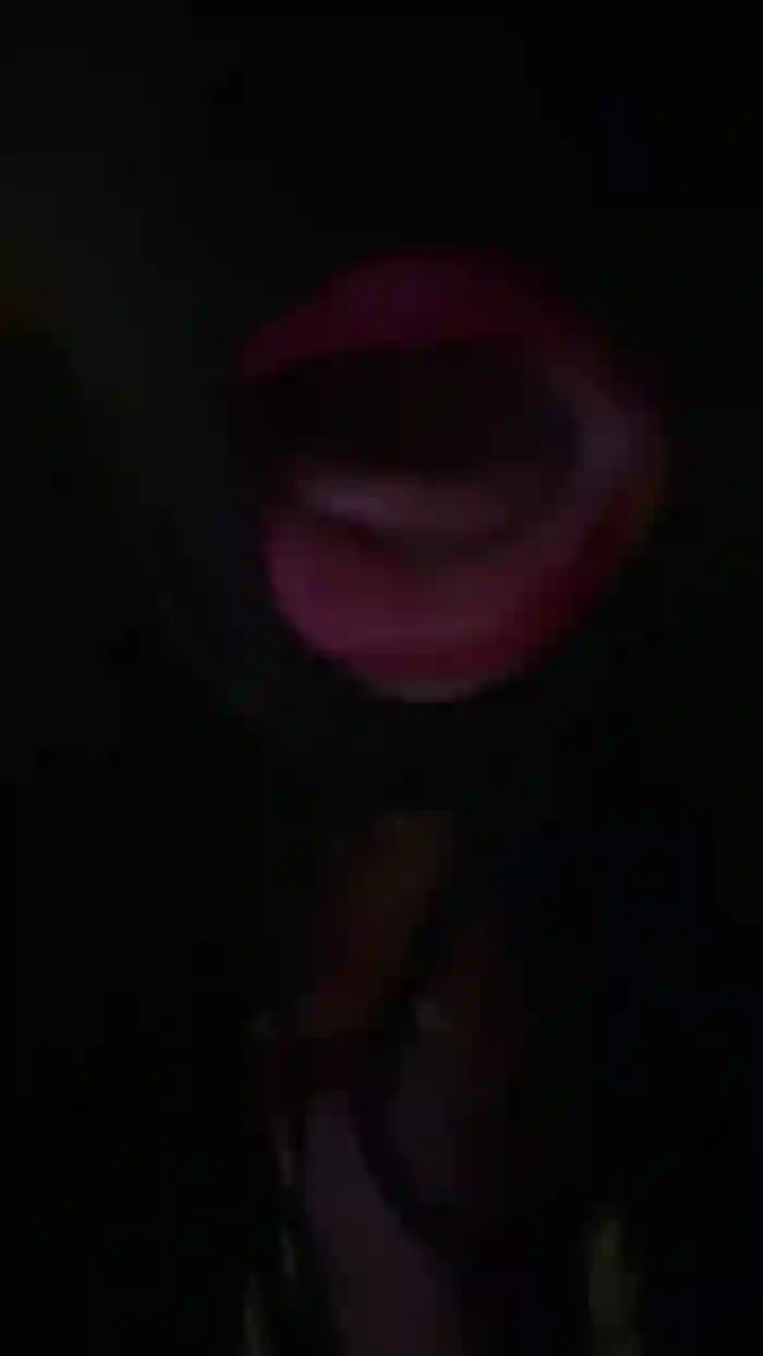 L_u_l_u