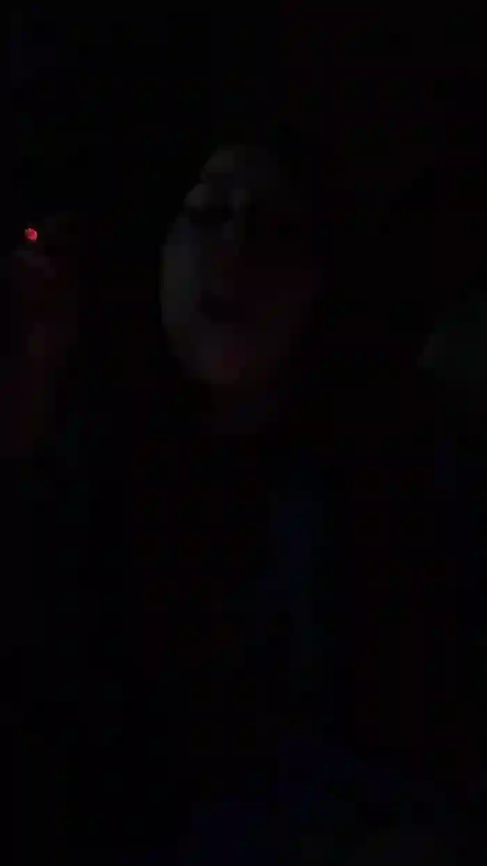 Missilaria98