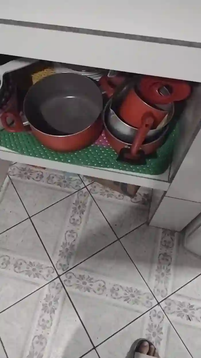 Casalzonasul08