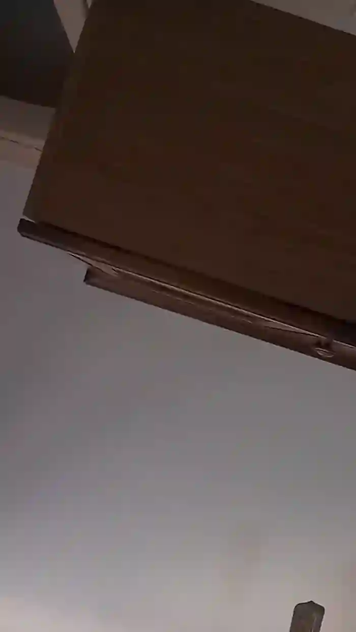 vogliadi6