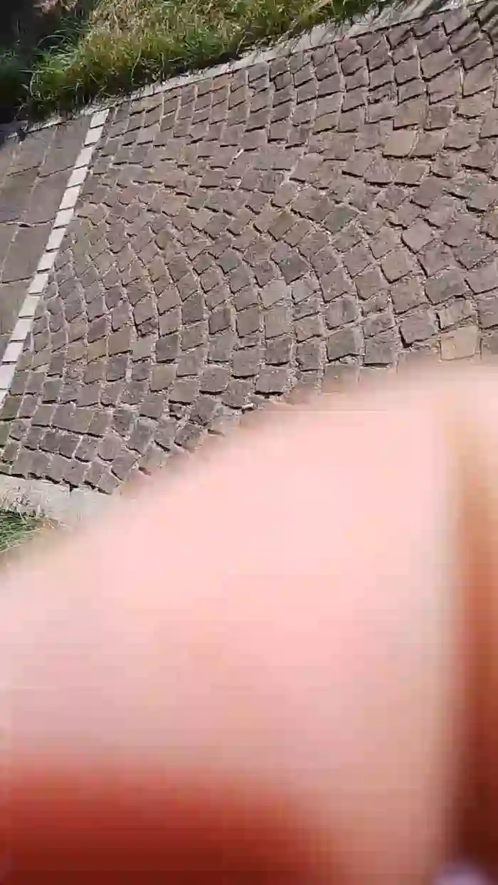 lLovePussy01