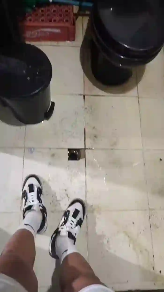Papiyoungpig
