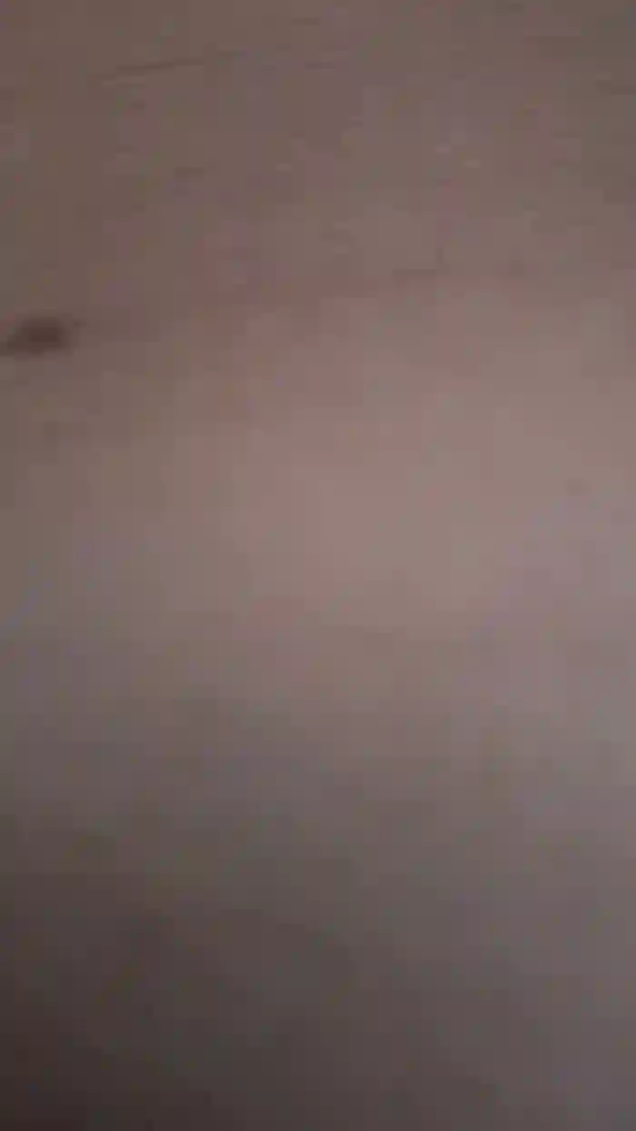 Acherontiaslut