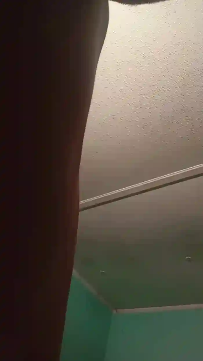 Littleguy25