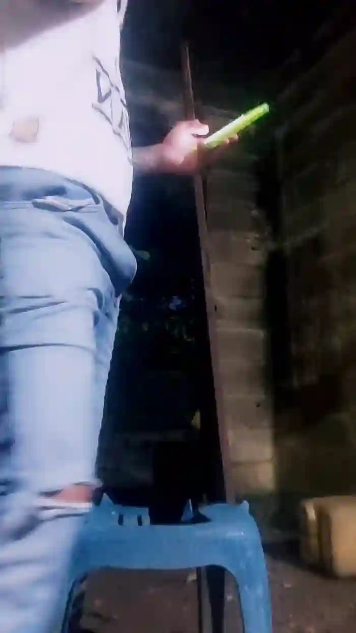 Papiyoungpig
