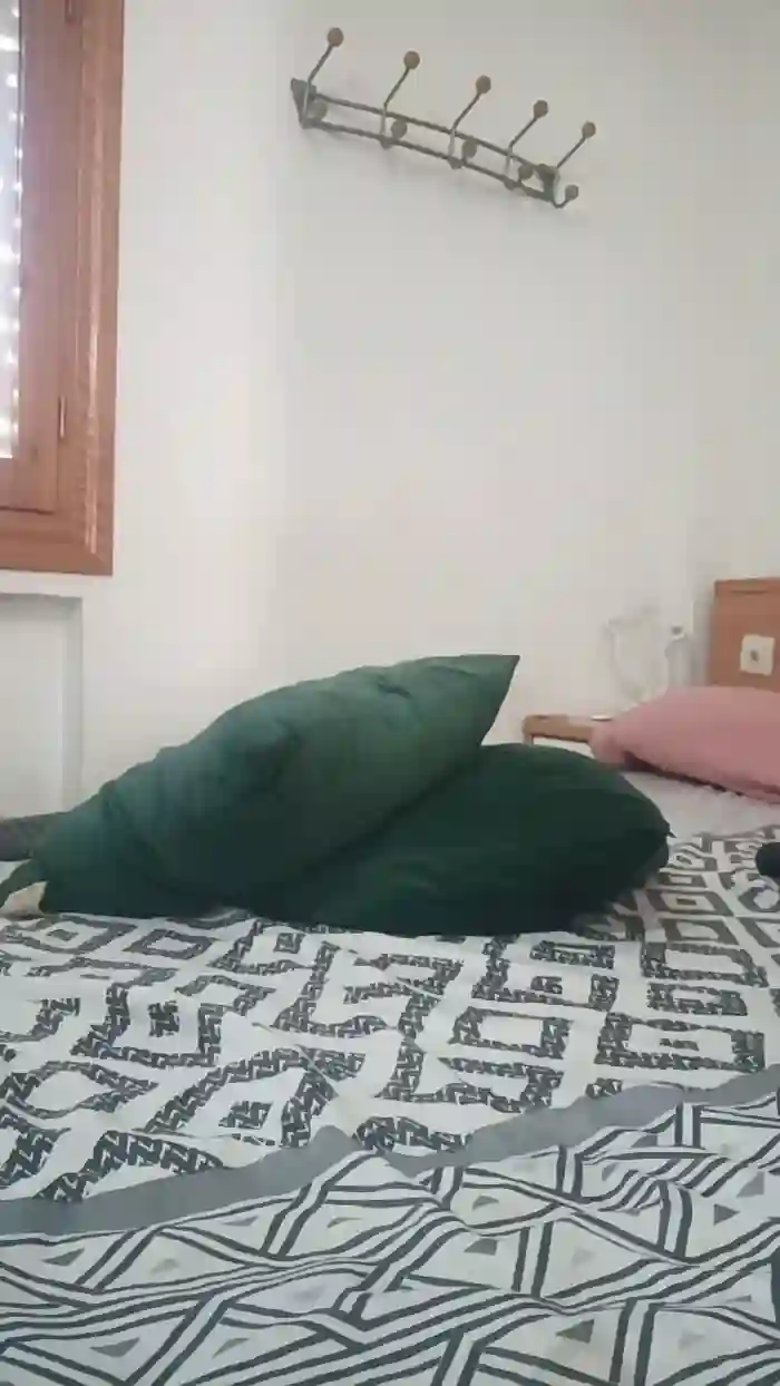 FoxySpanks