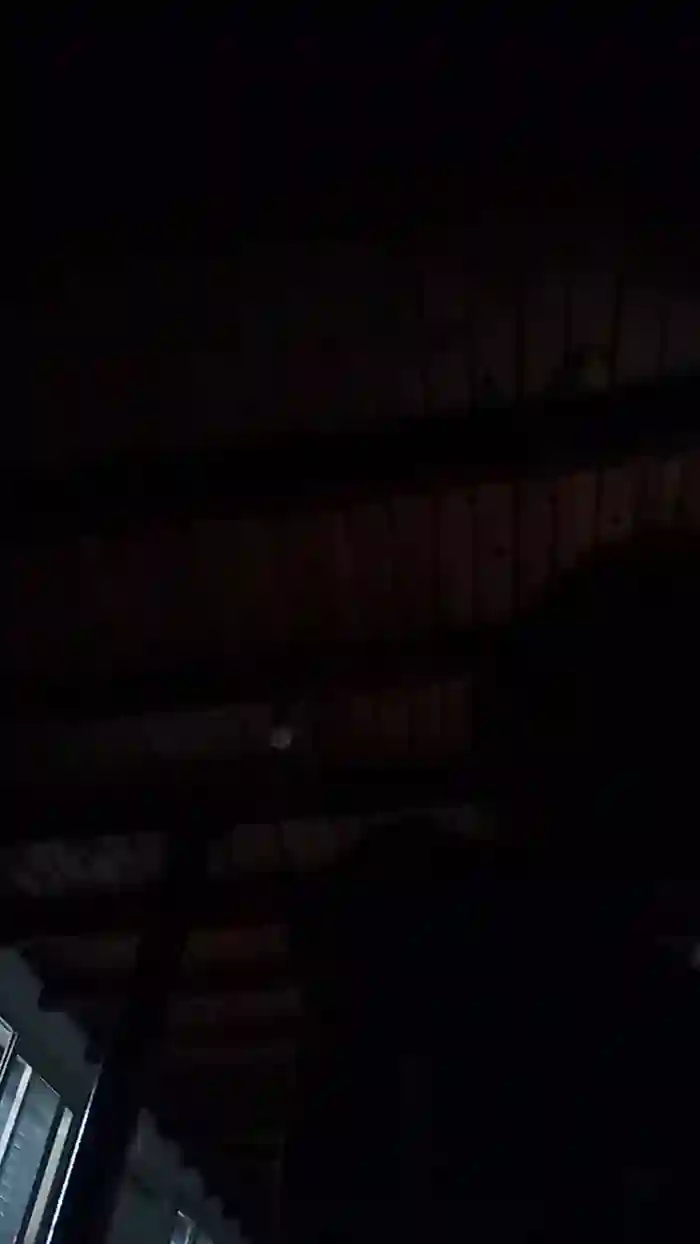 vogliadi6