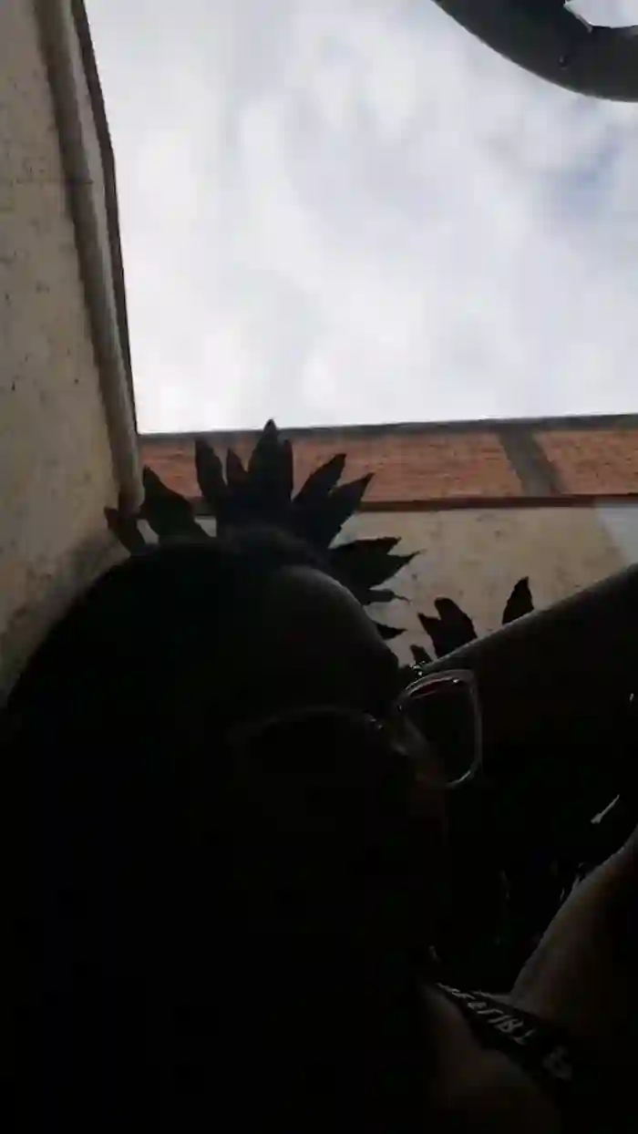 ShagiAmir