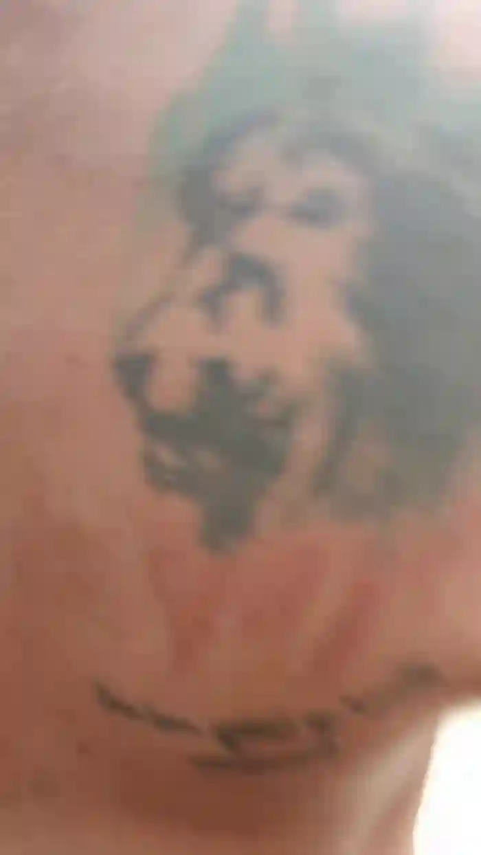 Cicciovendetta