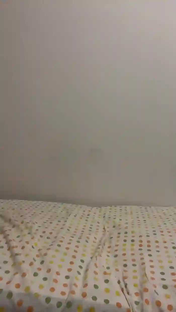 maarion_eladi1