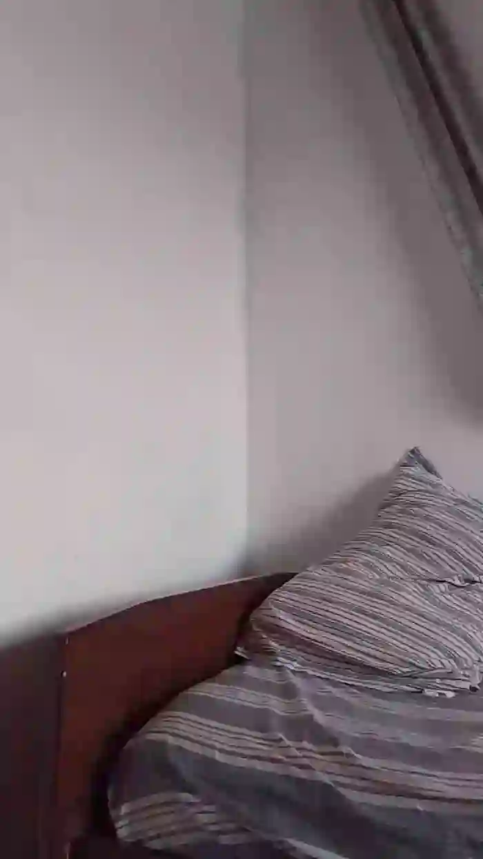 dan_x23