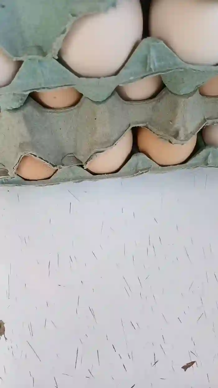 Solteiroc