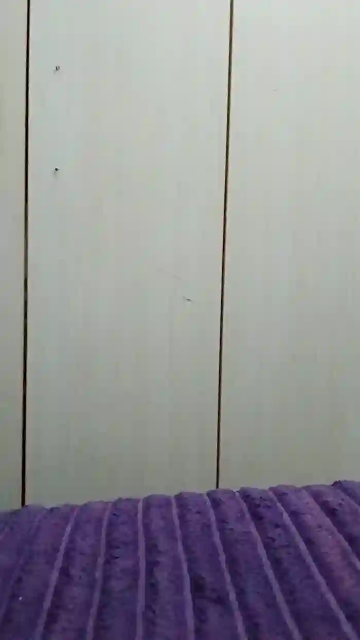 Moramguinho56