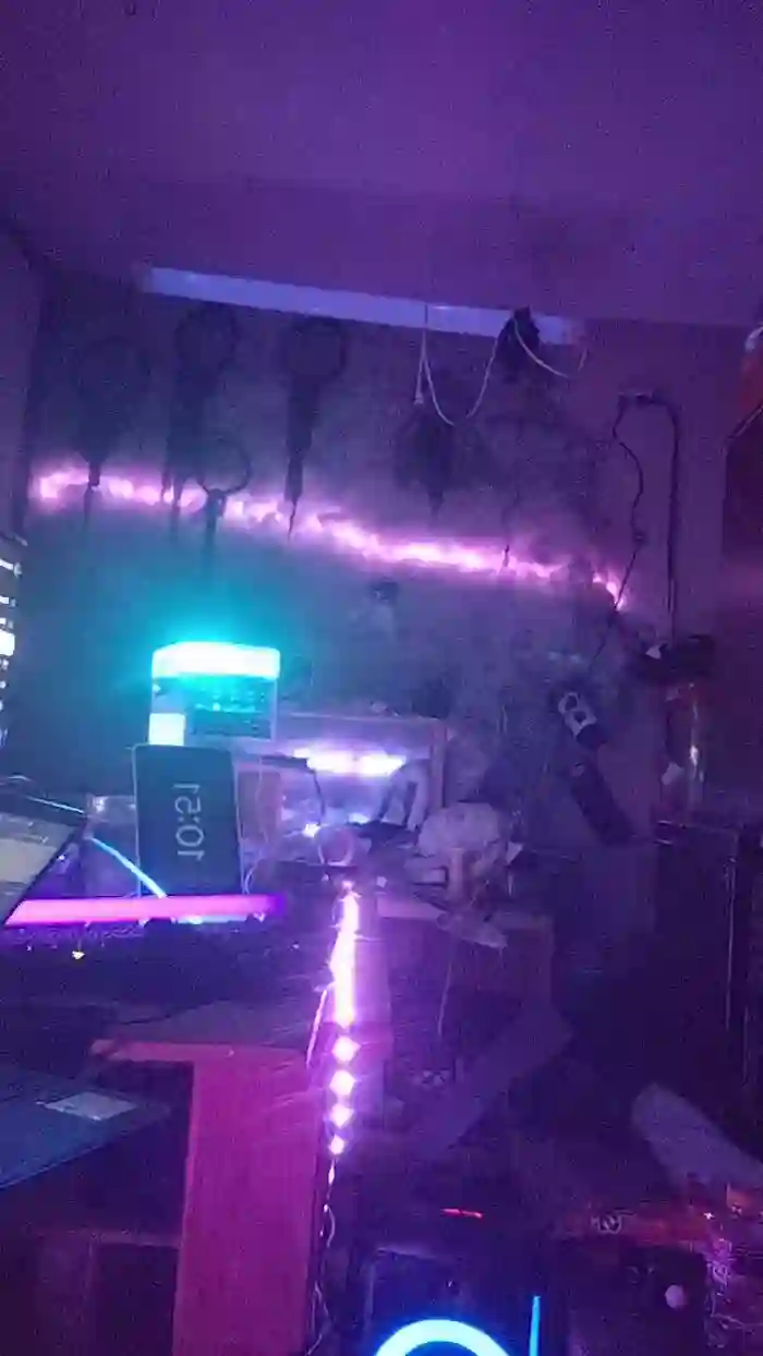 physicssexpert