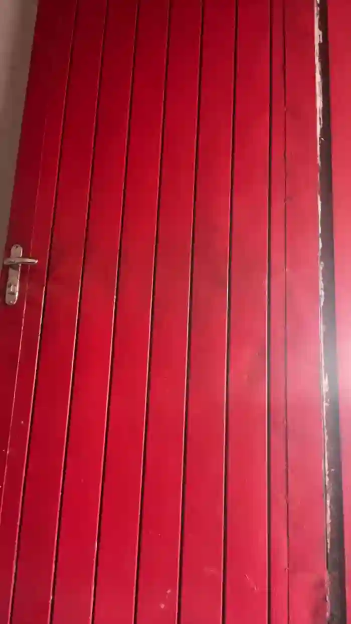 Coelha_001