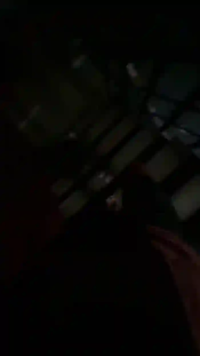 Alcindogomes