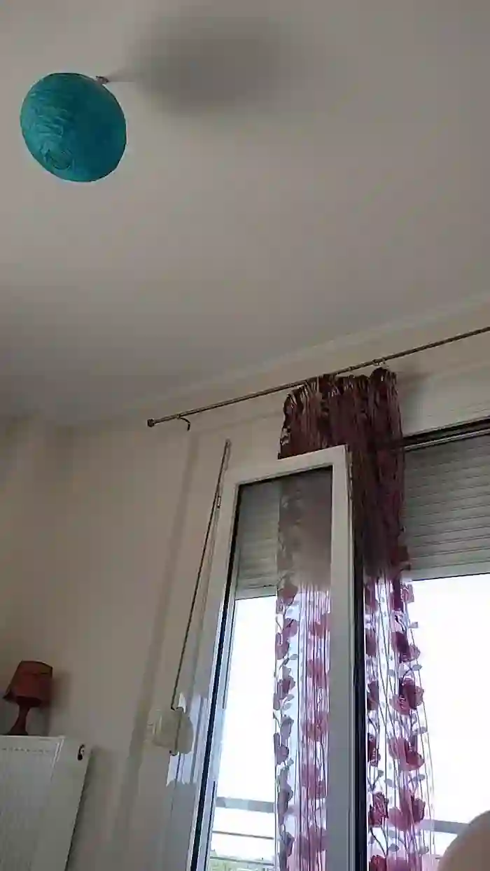 dayanesex