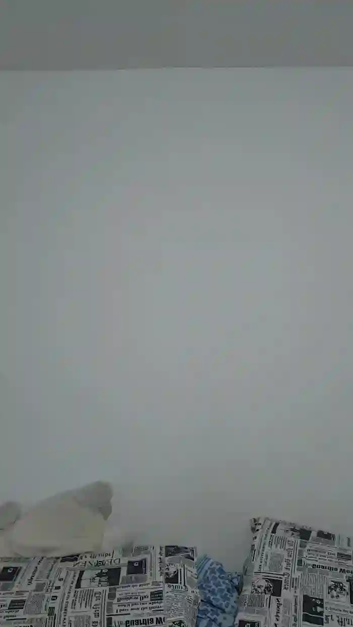 Levi_Henrique