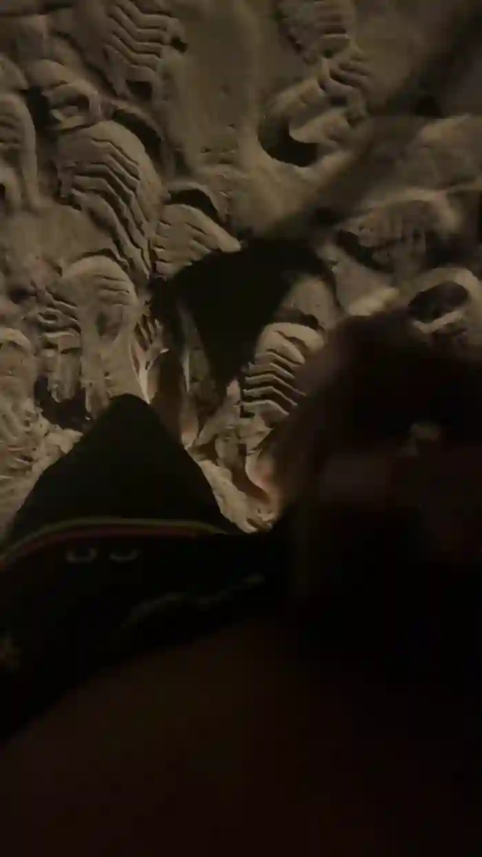Nethinho0
