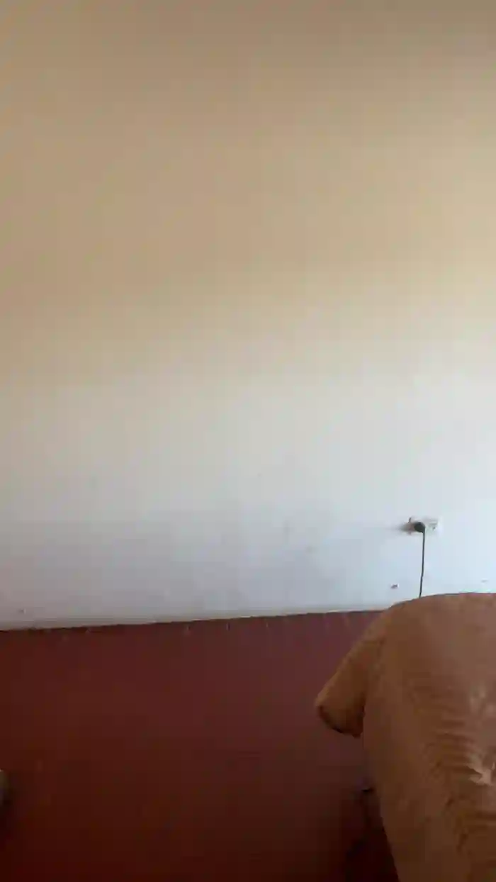Velvetstefania