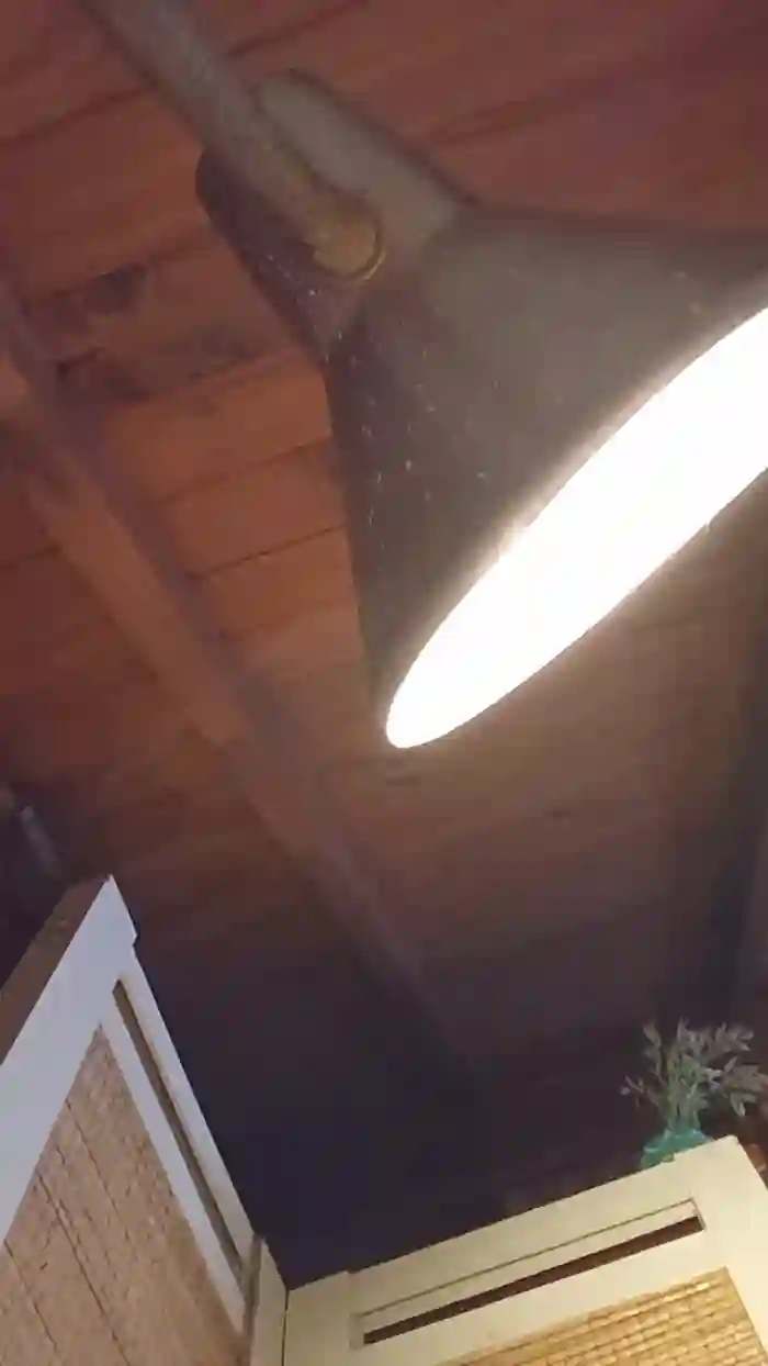 luli70hot