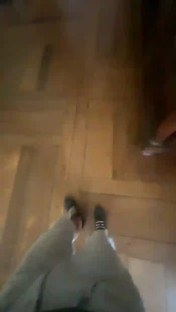 Alcindogomes