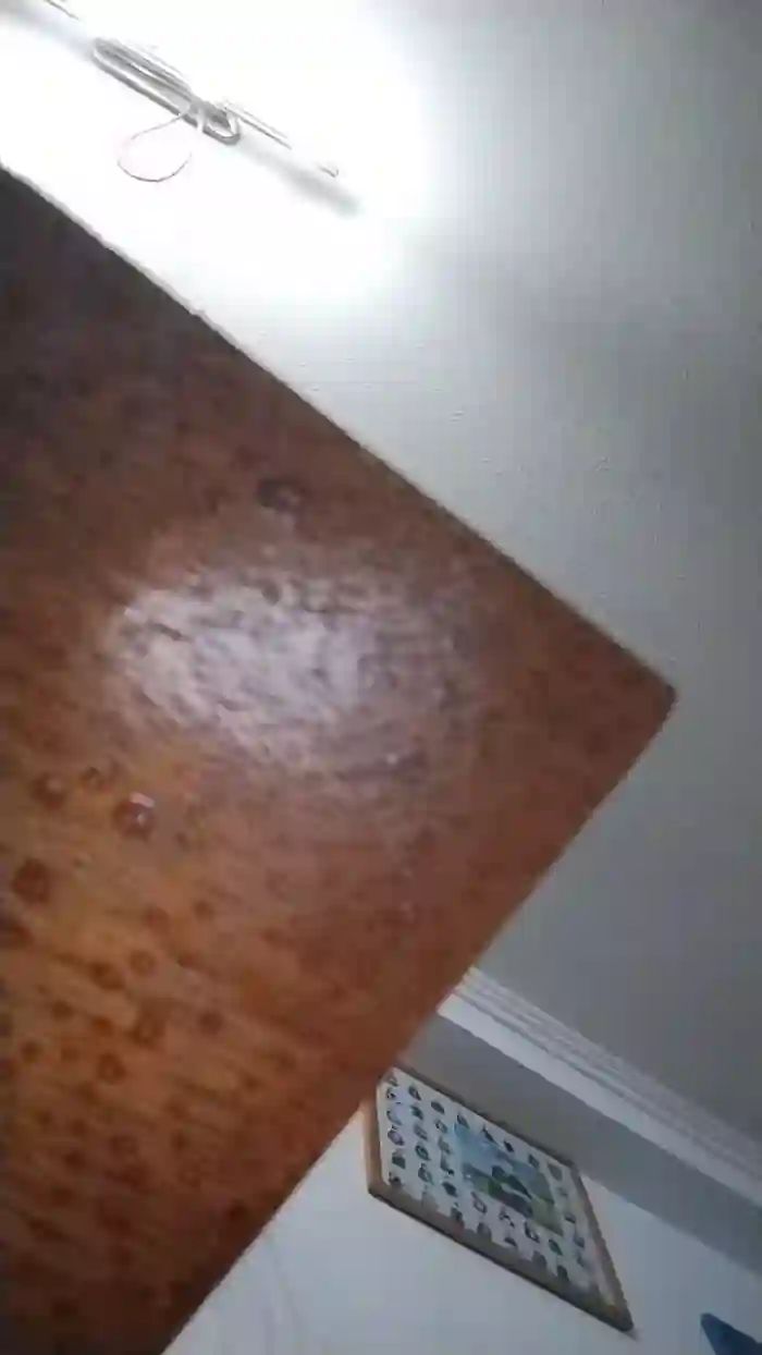 Latinaakita4