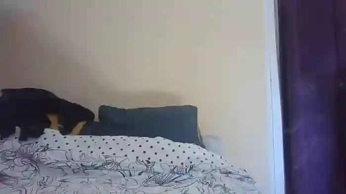 malacoquine_fun