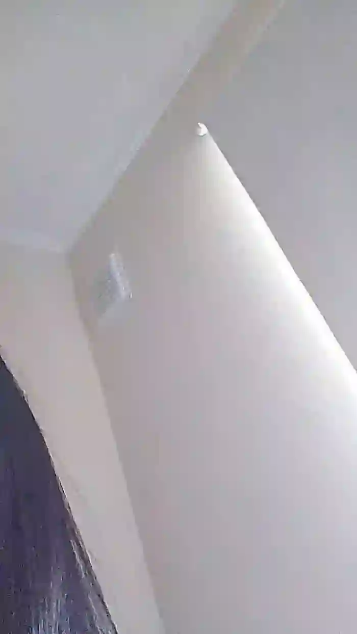 Chilenita89
