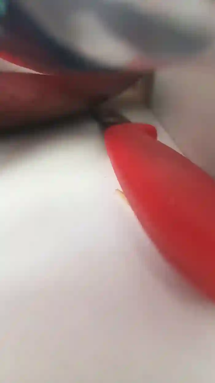 Raissa084